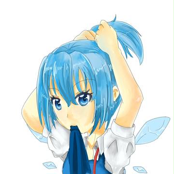 チルノ。。
