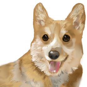 わんわんお!