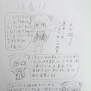 猫マオ（妄想注意）