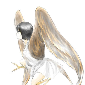 ハーピー（鳥人間？）