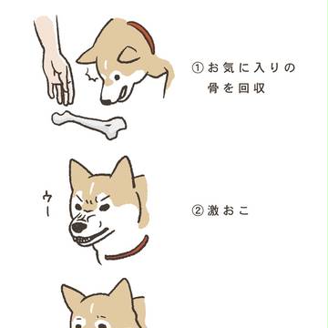 犬に怒られたときの対処