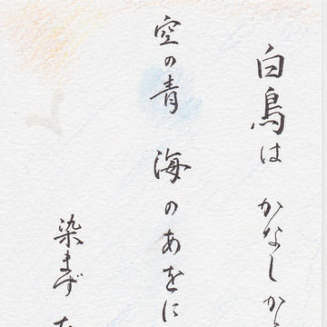 白鳥はかなしからずや