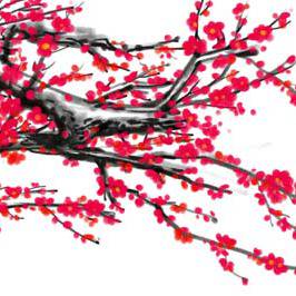 梅花