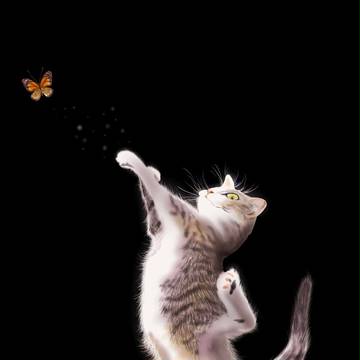 狩猫