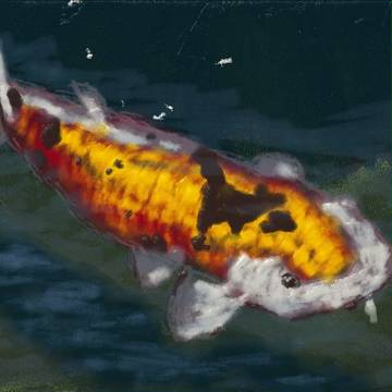 新絵心教室・鯉