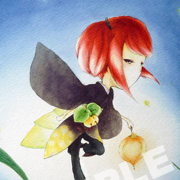 蛍