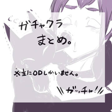 バードゴーー！！