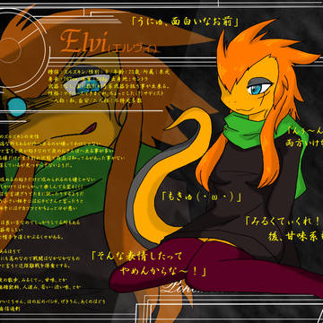【ポケギル】Ｅｌｖｉ/エルヴィ【キャラシ】