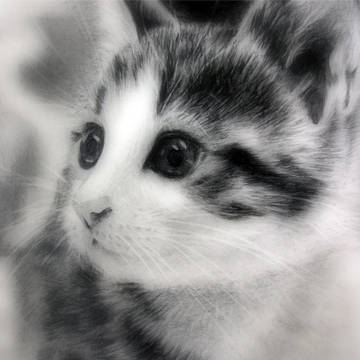 デッサン　猫