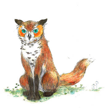 フクロウギツネ