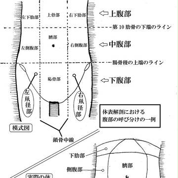 Page 12 thumbnail