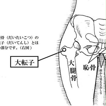 Page 19 thumbnail