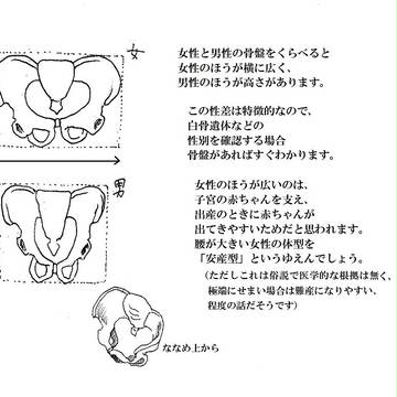 Page 4 thumbnail
