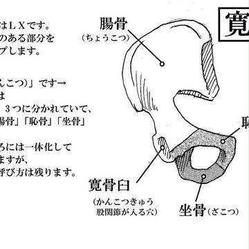 Page 5 thumbnail
