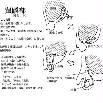 Page 8 thumbnail