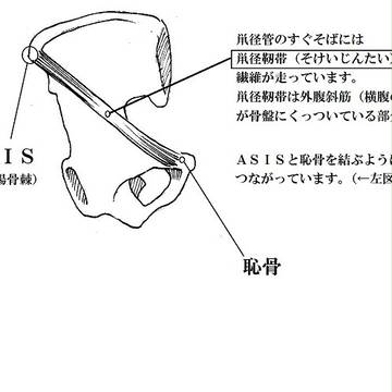 Page 9 thumbnail