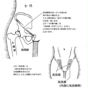 Page 10 thumbnail