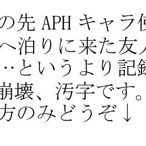 【APHキャラで】友がうちに遊びに来た【実録】