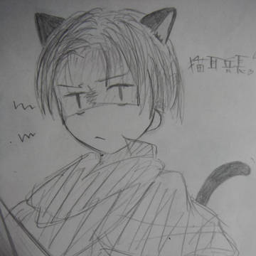 猫耳兵長