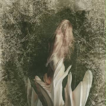 Ambivalence | Nymph
