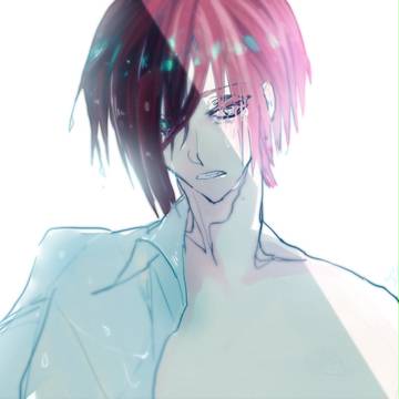鮫の涙