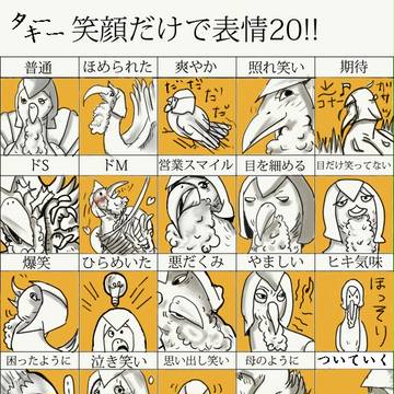 アサシンクリード3　ターキー