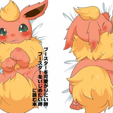 オマケのブースター本