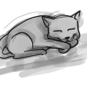 ねこ