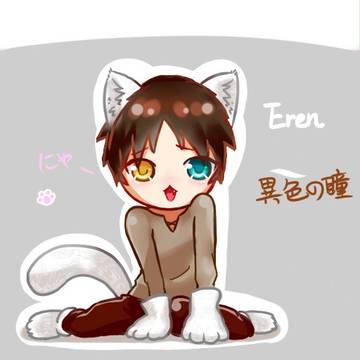 Eren貓