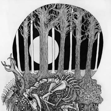 Life Cycle