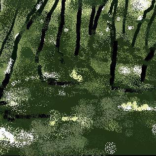 Shades in Summer Forest (2013)