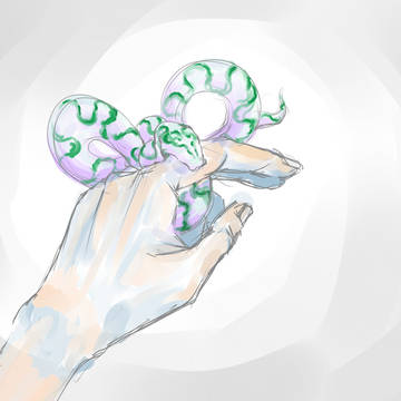 梦境