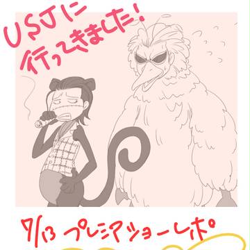 【ワンピース】USJプレショレポ【2013】