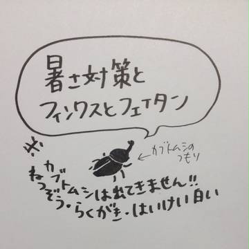 暑さ対策とフィンクスとフェイタン