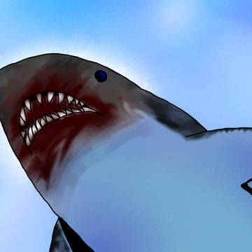 シャーク！
