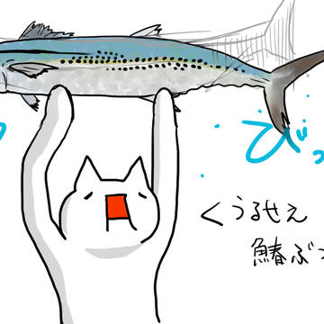 鰆（さわら）
