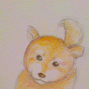 子柴さんぽ