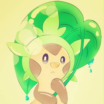 Chespin and Rain