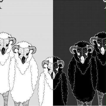 BlackSheep