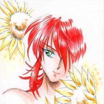 残暑お見舞い2013蔵馬　向日葵