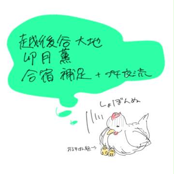 【VitaminP】合宿補足【補足＋ぷち交流】