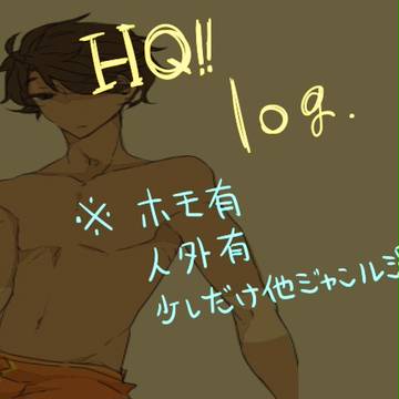 HQ log