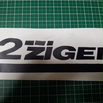 2ZIGEN