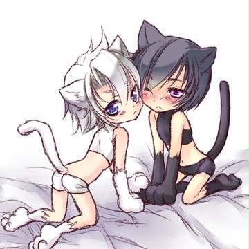ルル猫ライ猫