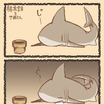 植木鉢とさめくん