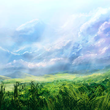 Grassy Field