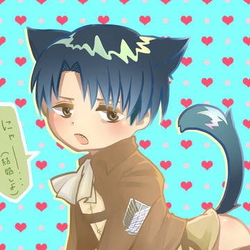 猫兵長