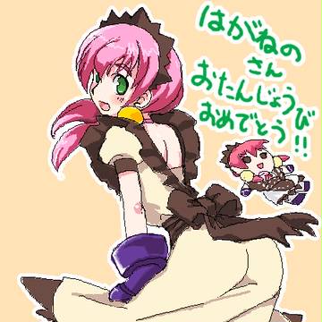 はがねのさんへの誕生祝