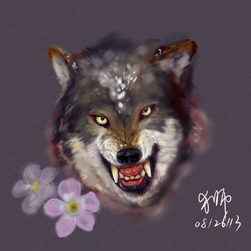 wolf
