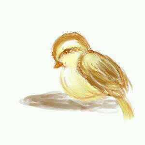 2RTされたら何も見ずに精一杯の画力で「スズメ」を描いてください